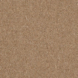 Gradus Bodega 03816 Barley Carpet Tiles - DCTUK