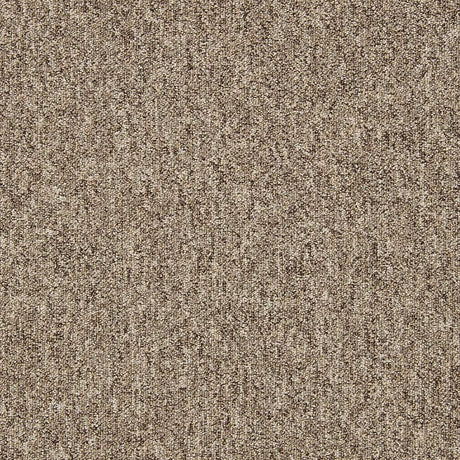 Gradus Lafite Connect Plains Lafite Connect Plains LC1 Carpet Tiles - DCTUK