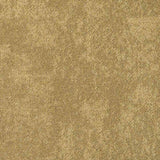 Interface CE100 Search Carpet Tiles - DCTUK