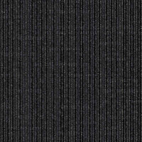 Interface Embodied Beauty - Shishu Stitch Carpet Planks Jet 9553001 Carpet Planks