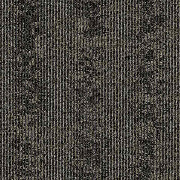 Taupe 955502