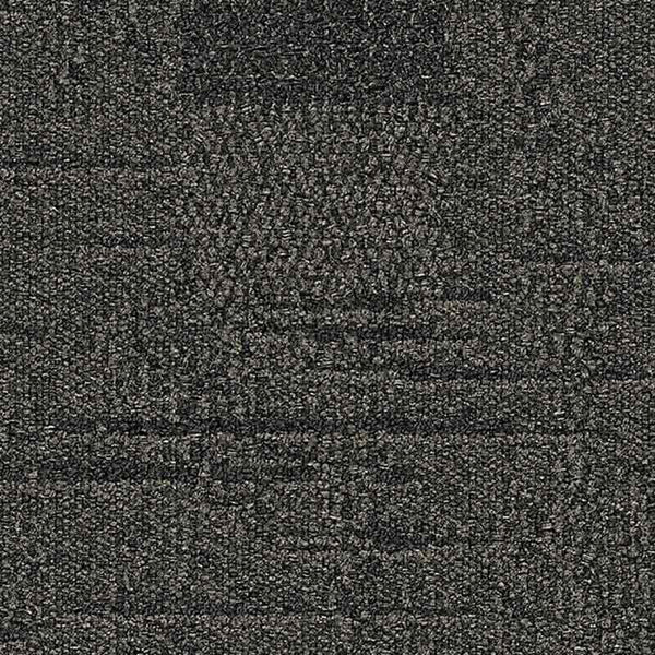 Coal 9556005