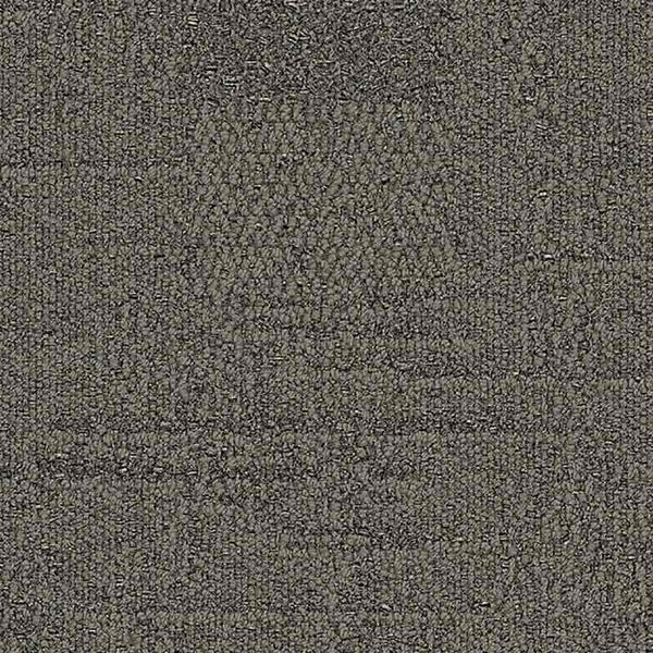 Taupe 9556002