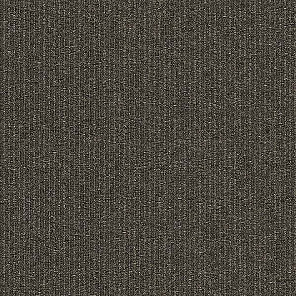 Coal 9557007
