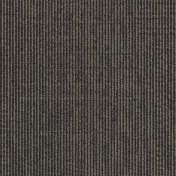 Taupe 9557004