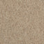 Interface Employ Loop Caramel 4197004 Carpet Tiles - DCTUK