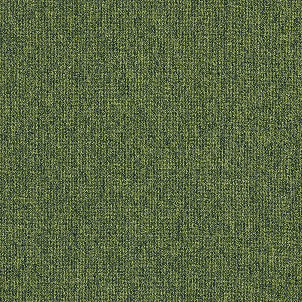 Eden 4197018