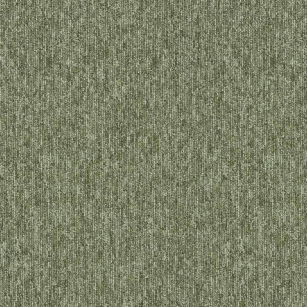 Fern 4197034