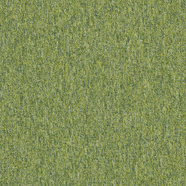 Kiwi 4197015