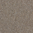 Interface Employ Loop Nutmeg 4197007 Carpet Tiles - DCTUK
