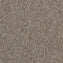 Interface Employ Loop Nutmeg 4197007 Carpet Tiles - DCTUK