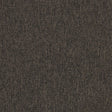 Interface Employ Loop Rye 4197010 Carpet Tiles - DCTUK