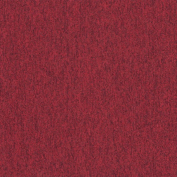 Salsa 4197024