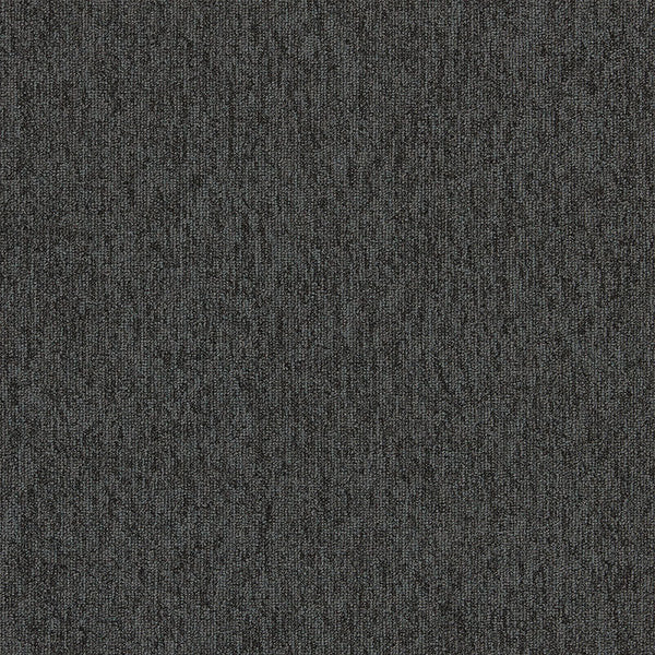Shale 4197006