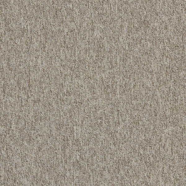 Truffle 4197002