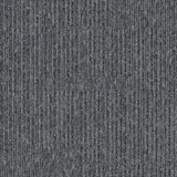 Interface Equilibrium Persistence Carpet Tiles - DCTUK