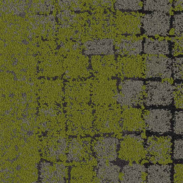 Flint/Moss