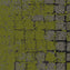 Interface Human Connections - Moss Flint/Moss Carpet Tiles - DCTUK