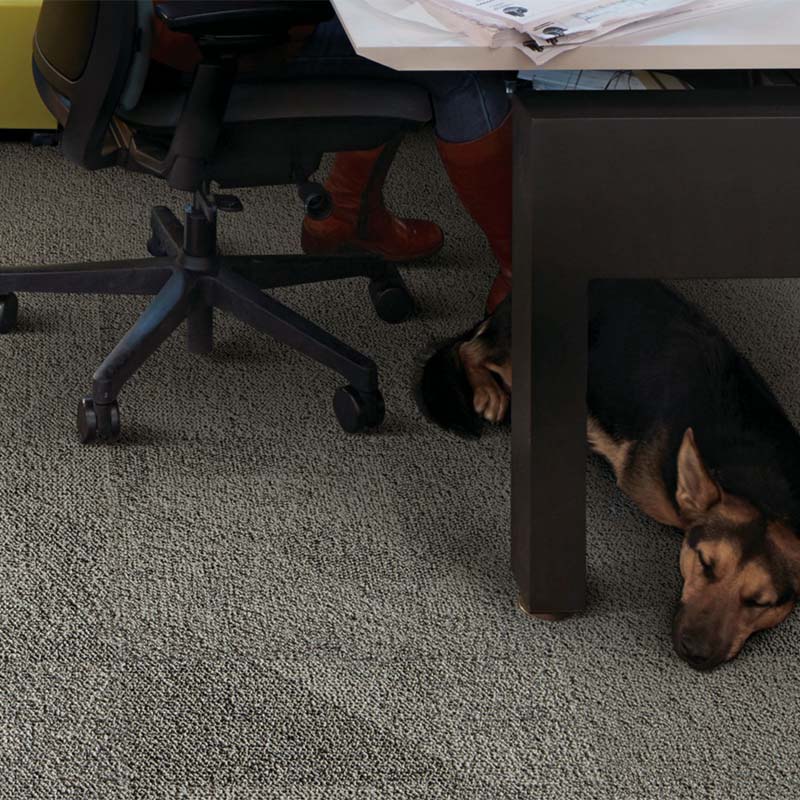 Interface Human Connections - Paver Flint Carpet Tiles - DCTUK