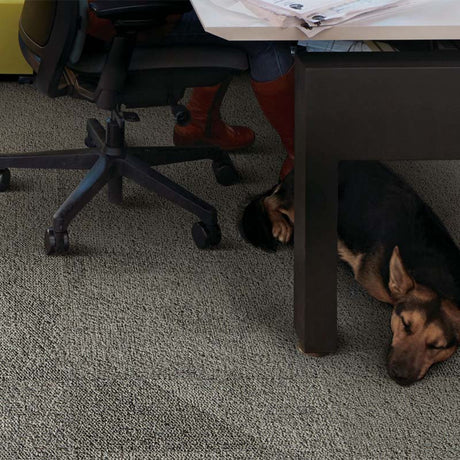 Interface Human Connections - Paver Flint Carpet Tiles - DCTUK