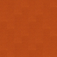 Interface Human Nature 830 Carpet Planks Clementine Carpet Planks