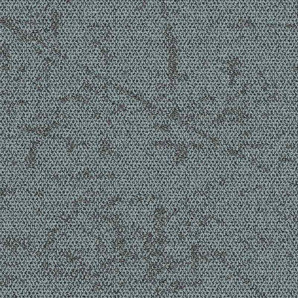 Agave 4282032