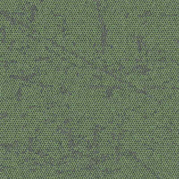 Moss 4282034