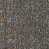 Interface Look Both Ways - Step Aside Ash Carpet Tiles - DCTUK