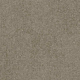 Interface Look Both Ways - Step In Time Alba Carpet Tiles - DCTUK