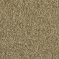 Interface New Horizons II 4117002 Wheat Carpet Tiles