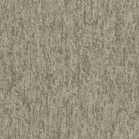 Interface New Horizons II 4117005 Chameleon Carpet Tiles