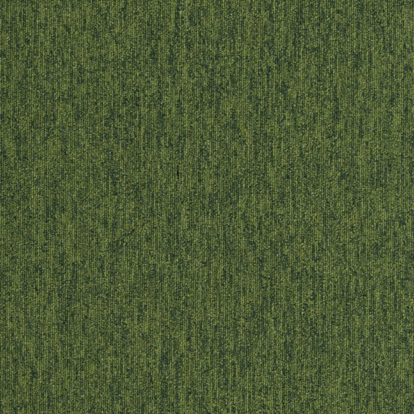 Ivy