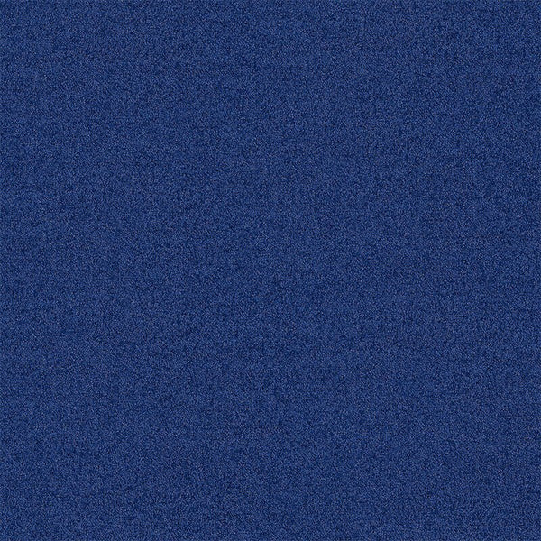Blue Nights 4266015