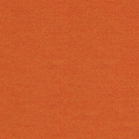 Interface Polichrome Solid Carrot 4266022 Carpet Tiles