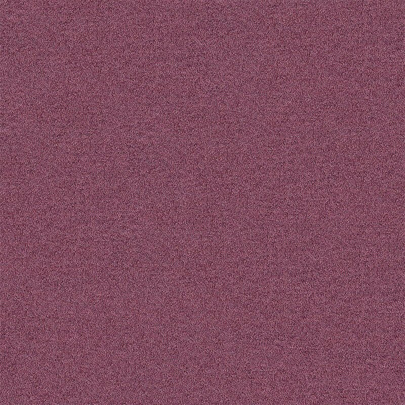 Interface Polichrome Solid Malva 4266024 Carpet Tiles - DCTUK