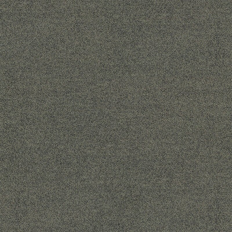 Interface Polichrome Solid Mole 4266008 Carpet Tiles - DCTUK
