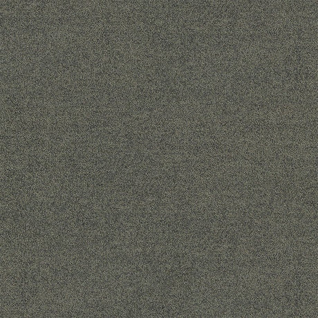 Interface Polichrome Solid Mole 4266008 Carpet Tiles - DCTUK