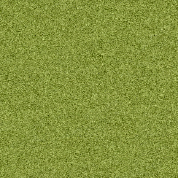 Peridot 4266012