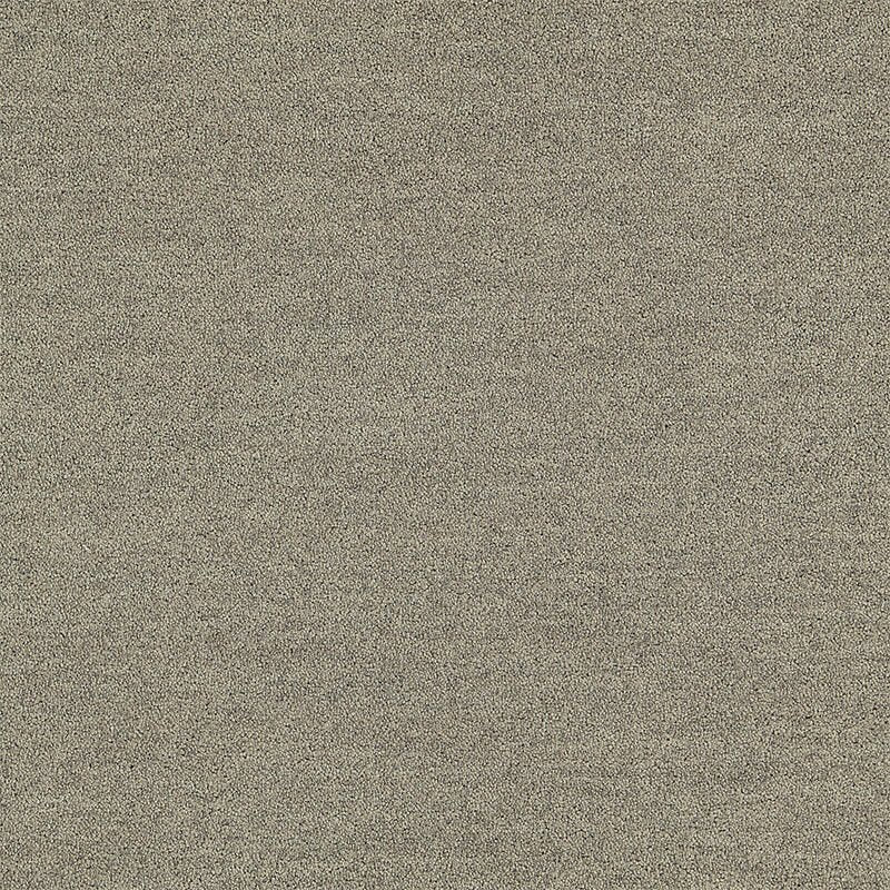 Interface Polichrome Solid Shiitake 4266007 Carpet Tiles - DCTUK