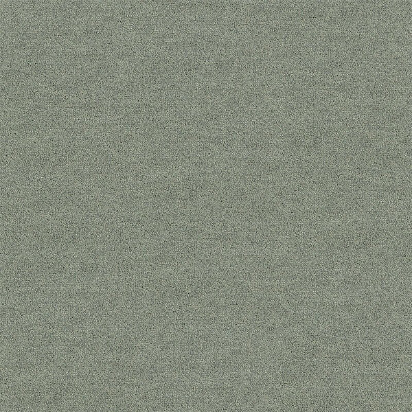 Silk Grey 4266005