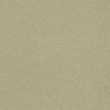 Interface Polichrome Solid Turtledove 4266017 Carpet Tiles - DCTUK