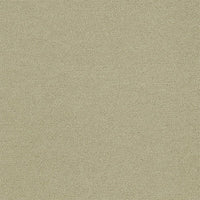 Interface Polichrome Solid Turtledove 4266017 Carpet Tiles