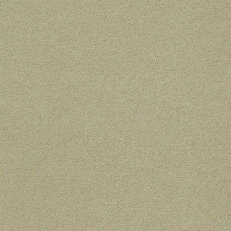 Interface Polichrome Solid Turtledove 4266017 Carpet Tiles - DCTUK
