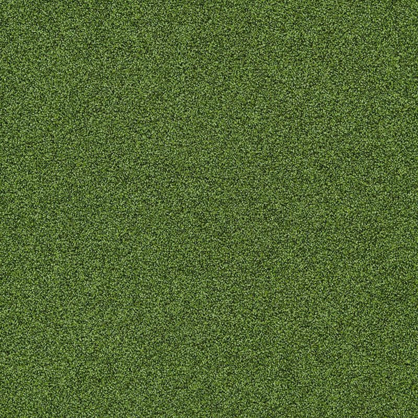 Cactus 4265016