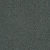 Interface Polichrome Stipple Caviar 4265003 Carpet Tiles - DCTUK