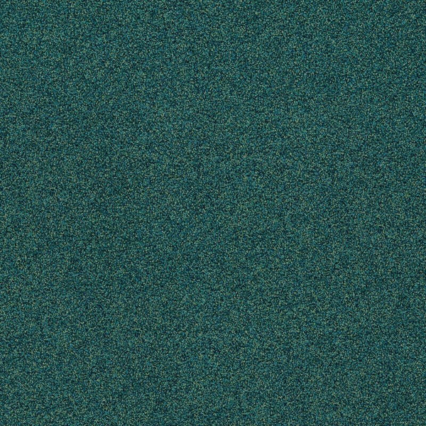 Everglade 4265013
