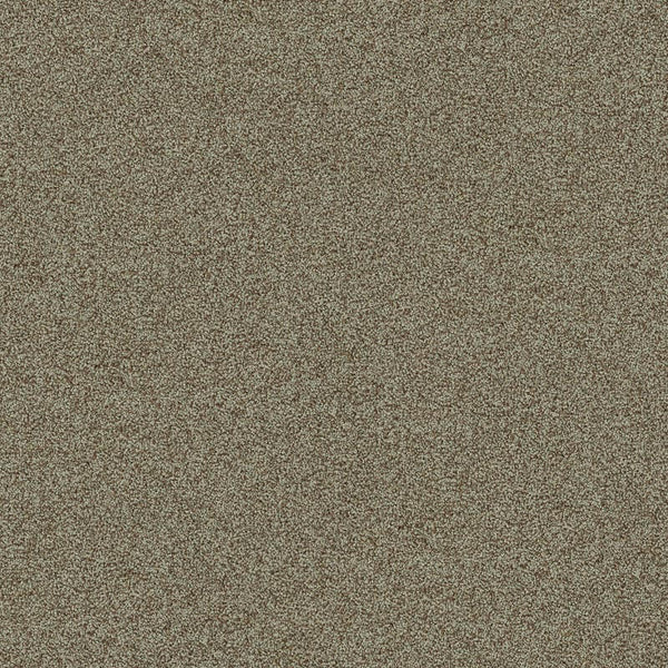 Hazel 4265021