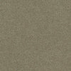 Interface Polichrome Stipple Hemp 4265007 Carpet Tiles - DCTUK
