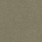 Interface Polichrome Stipple Hemp 4265007 Carpet Tiles - DCTUK