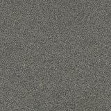 Interface Polichrome Stipple Moonrock 4265005 Carpet Tiles - DCTUK